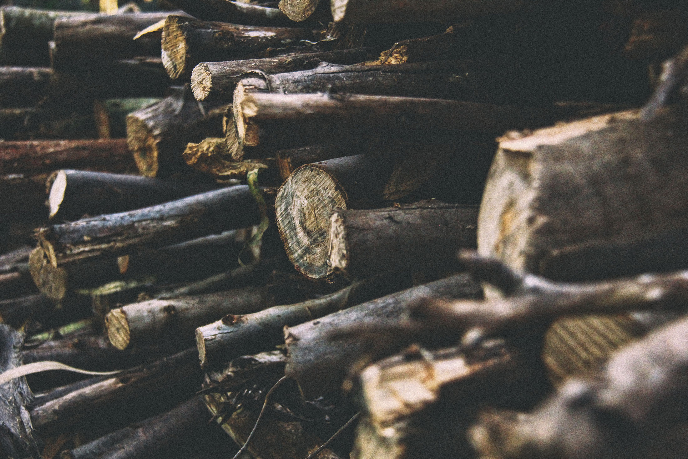 systèmes de pesage embarqués Foresterie