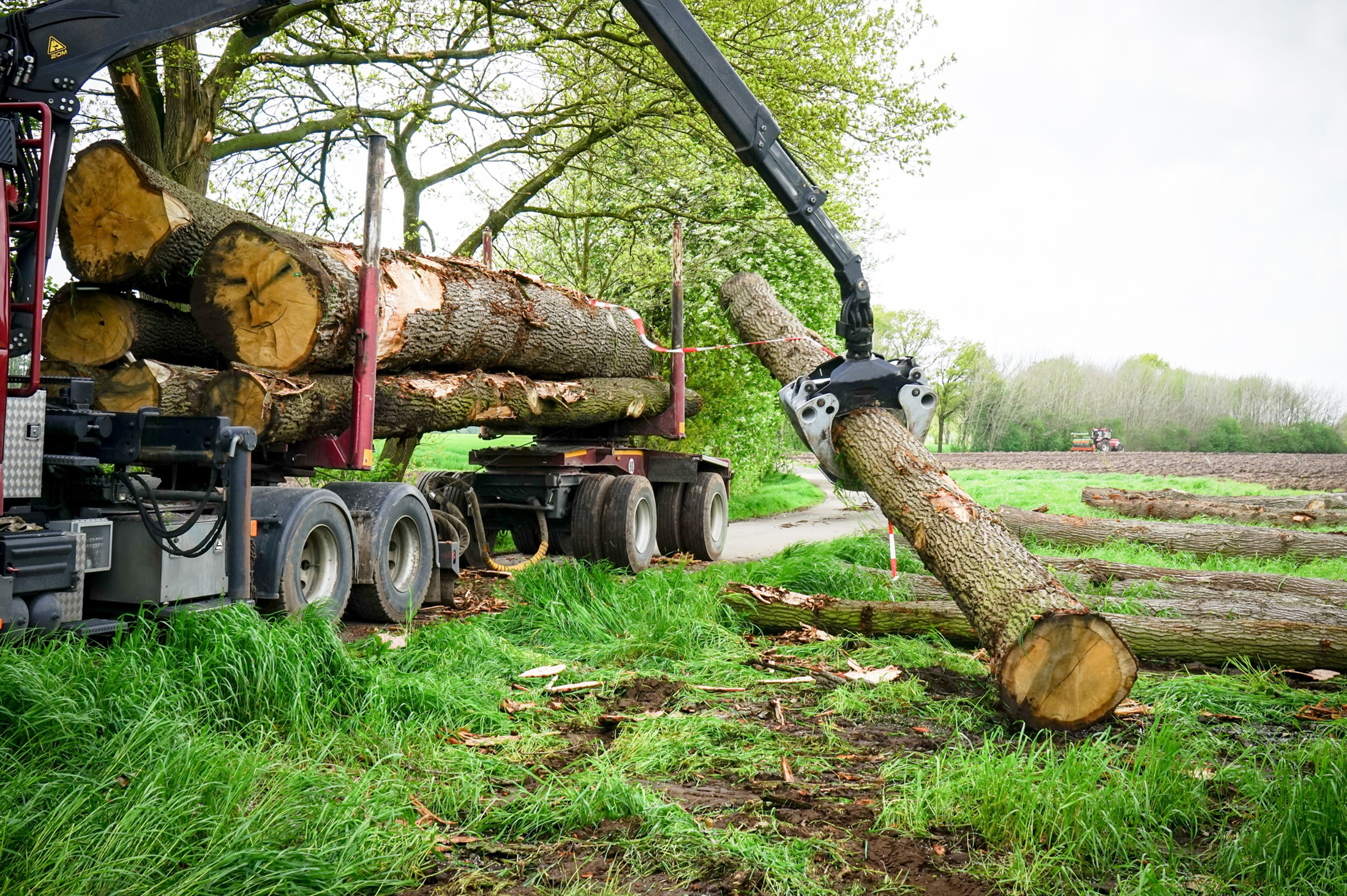 systèmes de pesage embarqués Foresterie Transport