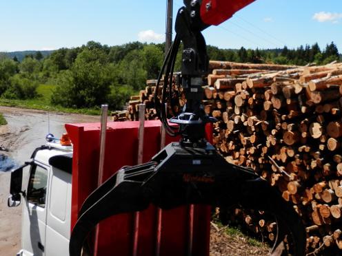 Grappin à bois TG42